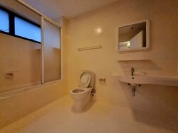 The Cairnhill (D9), Condominium #561586501